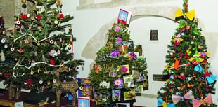 Topical festive tree display brings joy