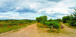 Blow the cobwebs away with a new year walk