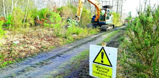 Diggers on the common are improving the habitat