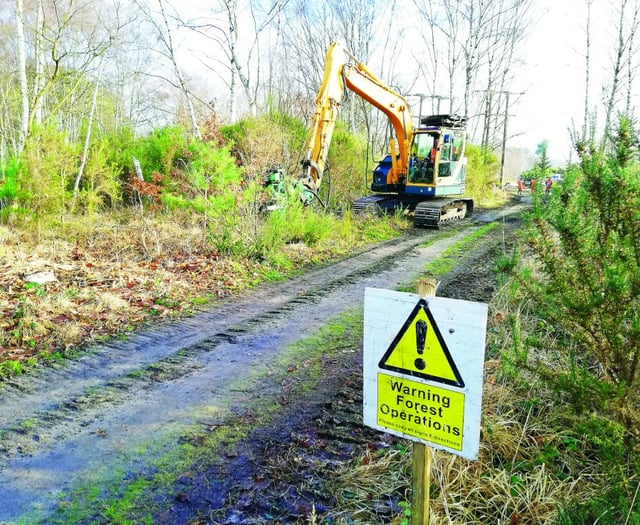 Diggers on the common are improving the habitat