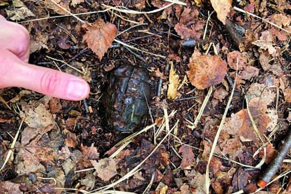 Mum steps on hand grenade during walk on common