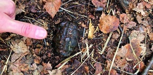 Mum steps on hand grenade during walk on common