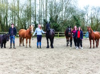 Big-hearted riding stables facing crisis point appeals for local help