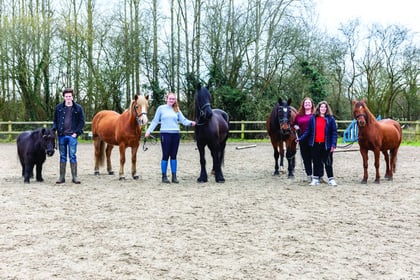 Big-hearted riding stables facing crisis point appeals for local help