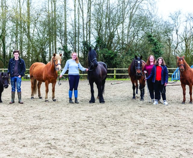 Big-hearted riding stables facing crisis point appeals for local help