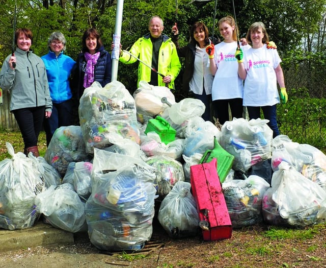 Volunteers sought for village litter pick