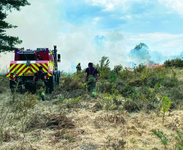 Firefighters rush to douse flames on common