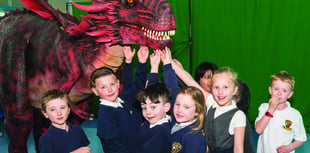 Dragon in school helps fire pupils’ imaginations