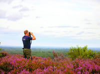 Experience the magic of our heathland