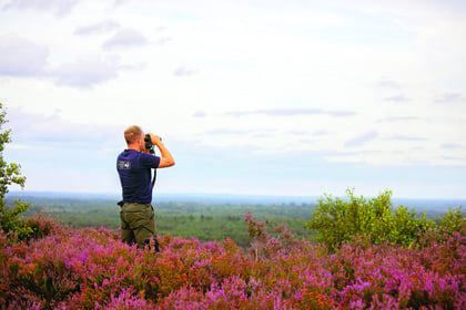 Experience the magic of our heathland
