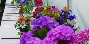 Horsell Village Show is back – last chance for entries