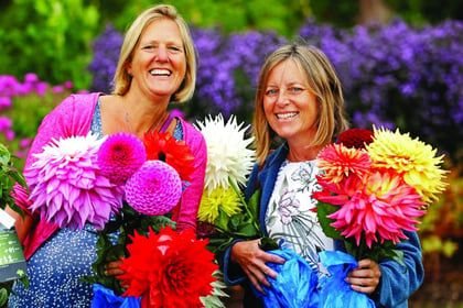 Flower show to bloom again at RHS Wisley