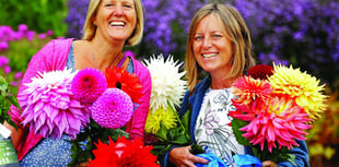 Flower show to bloom again at RHS Wisley