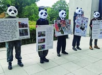 Protesters target WWF headquarters