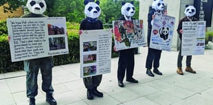 Protesters target WWF headquarters