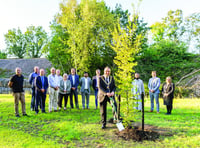 New site and wetland area at historic burial ground