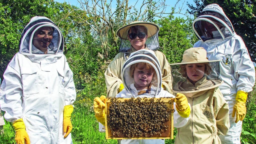 Make a start in the skills of beekeeping | wokingnewsandmail.co.uk