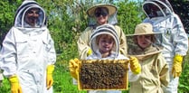 Make a start in the skills of beekeeping