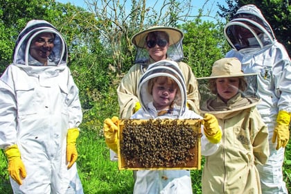 Make a start in the skills of beekeeping