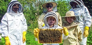 Make a start in the skills of beekeeping