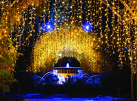 Magical Glow will emphasise the beauty of winter garden