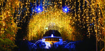 Magical Glow will emphasise the beauty of winter garden