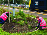 Green-fingered group brings beauty to village surroundings