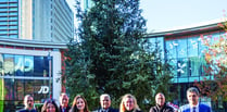 Generous donors present town Christmas tree