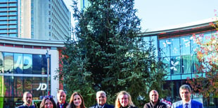 Generous donors present town Christmas tree