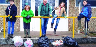 Scouts lead the way in litter clean-up