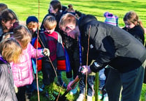 Children star in planting of Queen’s jubilee hedge