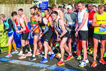 Hundreds go on the run for charity