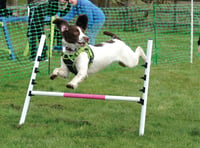 Fun for dogs and owners at fundraising agility tests