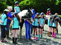 Stables visit allows pupils to see fundraising benefits for chosen charity