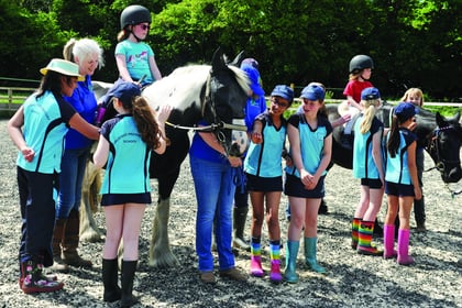 Stables visit allows pupils to see fundraising benefits for chosen charity