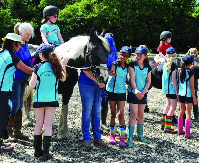 Stables visit allows pupils to see fundraising benefits for chosen charity