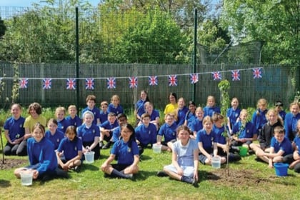 Pupils plant a mini orchard for jubilee