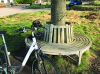 Writer starts appeal for inspirational bench