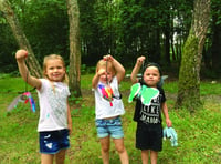 Celebrate the importance of our heathland