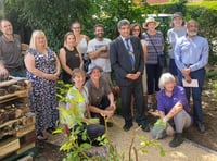 Volunteers create a community hub garden