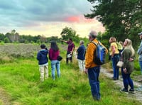 Heathland events highlight importance of local habitat