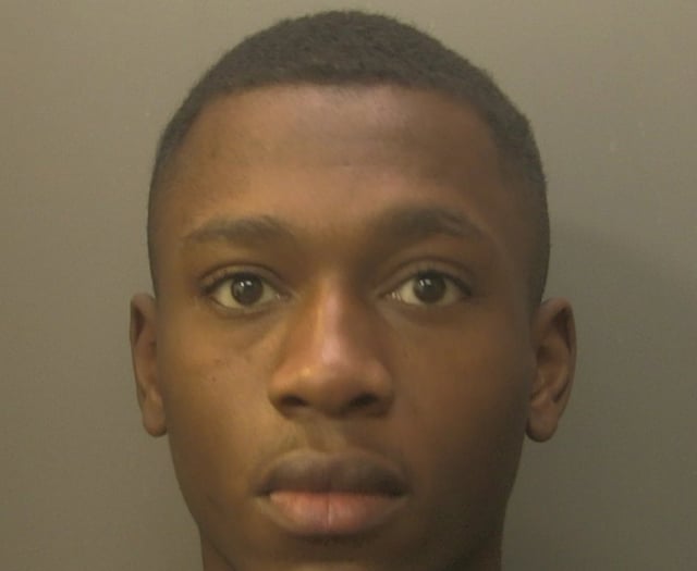 Dealer jailed for drugs and weapons offences