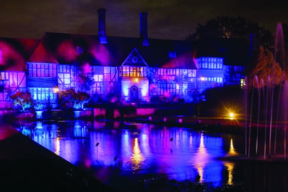 Light up your life with Wisley’s Glow