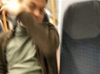 Appeal after sex assault on train