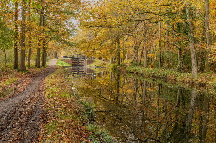 Basingstoke Canal