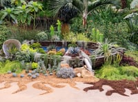 Dive deep into your imagination at RHS Garden Wisley