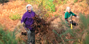 Battle against invasive scrub