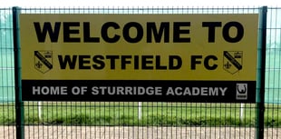 Ex-Arsenal star is appointed Westfield manager