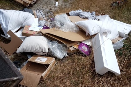 Director fined after employees fly-tipped in West Worldham