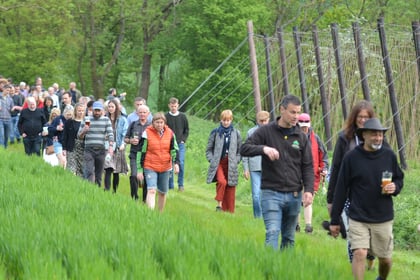 Hogs Back ‘beats the bounds' at hop blessing – but no head banging!